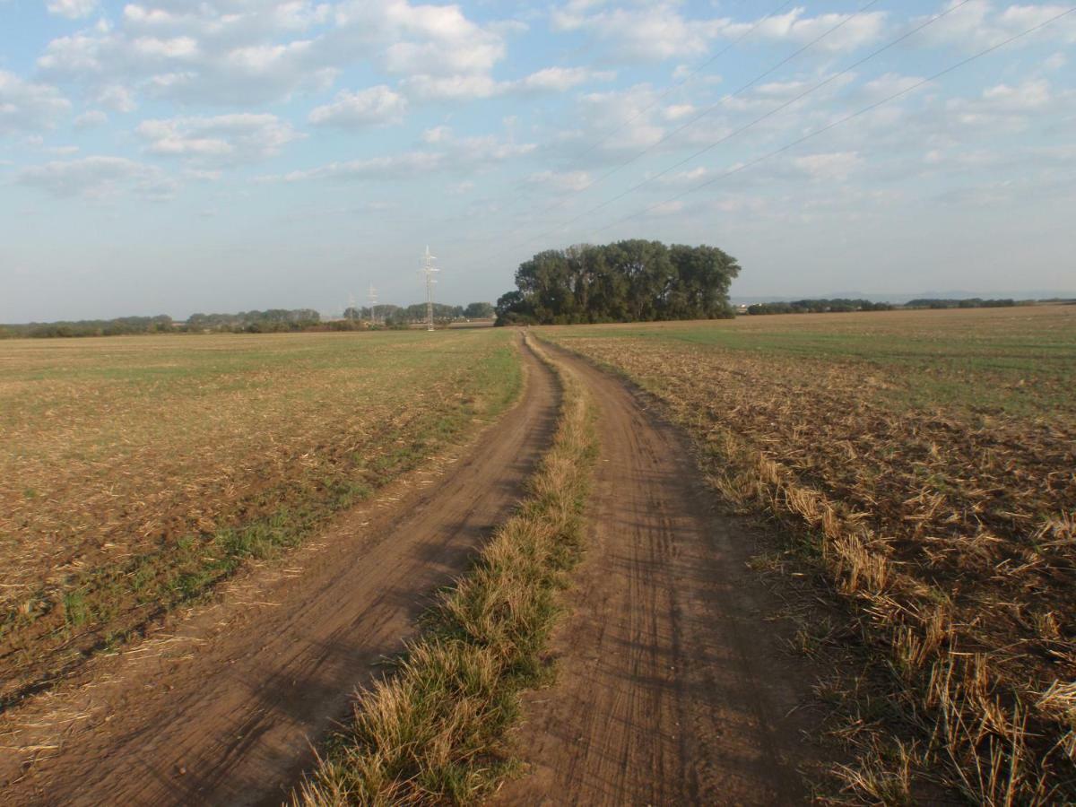 Penzion U Malera Hroznova Lhota Zewnętrze zdjęcie